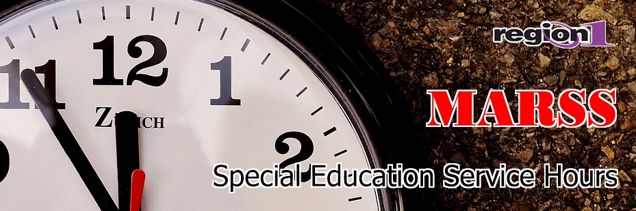 Special Education Service Hours (SESH) 